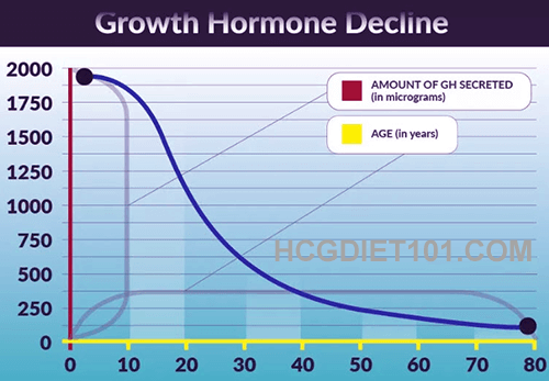 A decline in human growth hormone