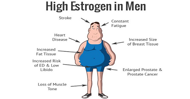 Estrogen Hormone in Men