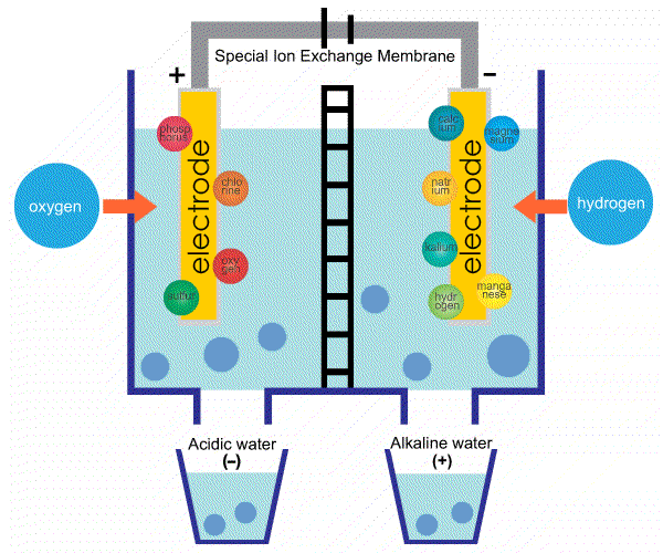 Water Ionizer Electrolysis Process