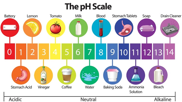 pH Explanation