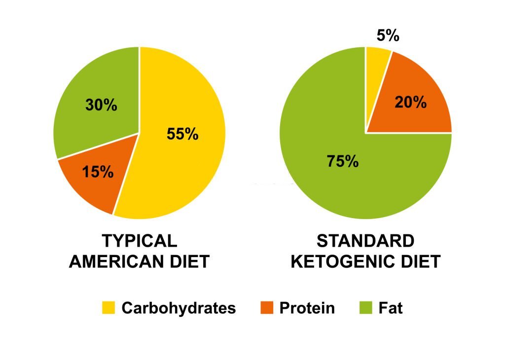 High Fat Diet