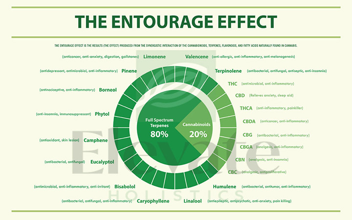 the entourage effect