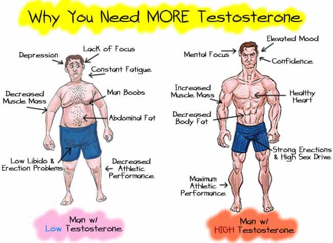Why You Need More Testosterone