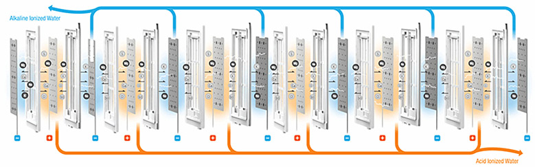 13-Platinum-Coated-Titanium Plates